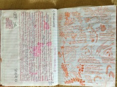Rough text and sketches I did in Prospect Park. My sketches and journal entries from time spent in the park were the inspiration for my Eco-Mandalas, as well as my book artist book, Prospect Park Illuminated.