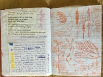 Rough text and sketches I did in Prospect Park. My sketches and journal entries from time spent in the park were the inspiration for my Eco-Mandalas, as well as my book artist book, Prospect Park Illuminated.