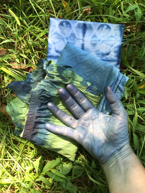 Indigo blue hands, WSW 2015